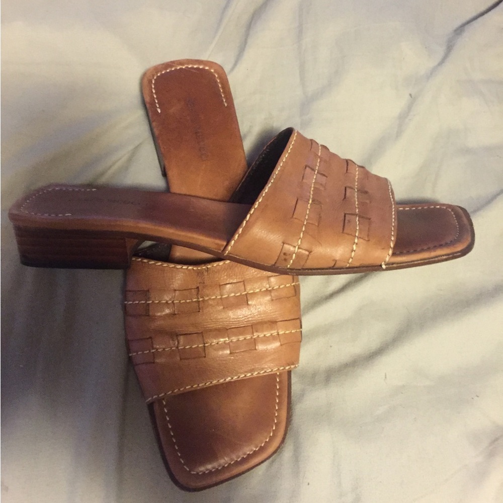 Sesto size 12 slides